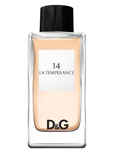 Dolce & Gabbana Anthology La Temperance 14 Eau De Toilette Pour Femme 100ml (Unboxed, Dscontinued, Rare)