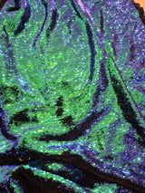 Spotlight Mermaid Peacock Reversible Sequin Blue Green Dress Fabric 125 x 160cm5